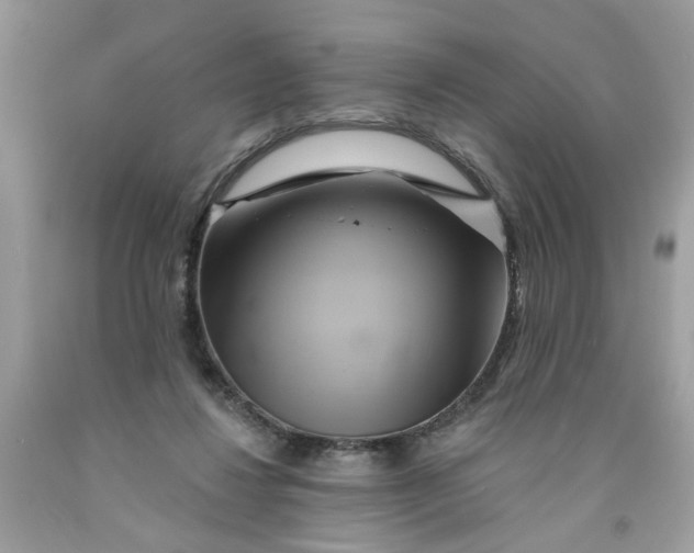 X0000091590260200709101046