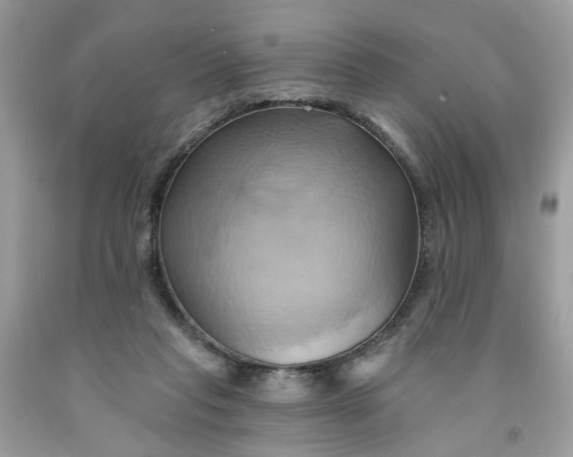 X0000091590261200709101046