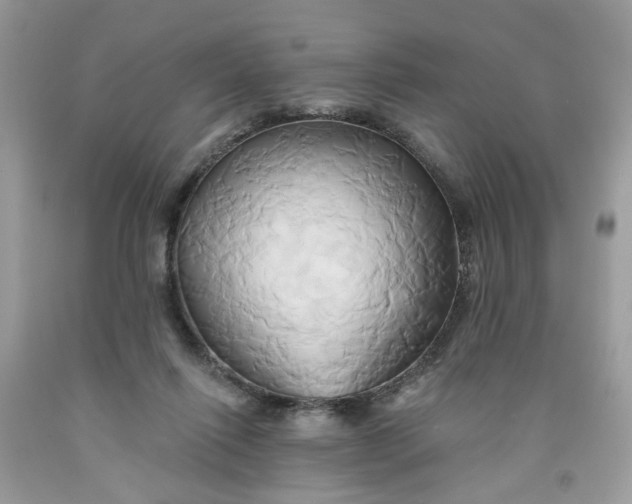 X0000091590262200709101046