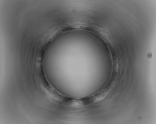 X0000091590263200709101046