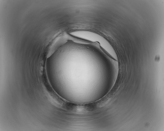 X0000091590264200709101046