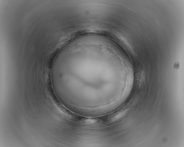 X0000091590265200709101046