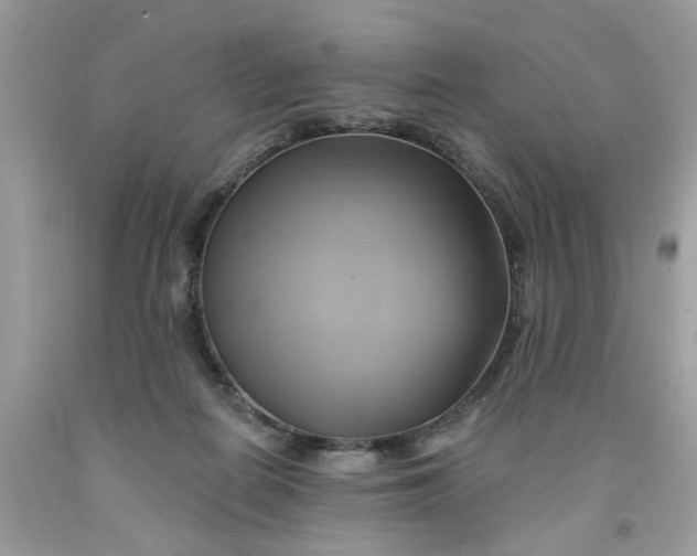 X0000091590266200709101046