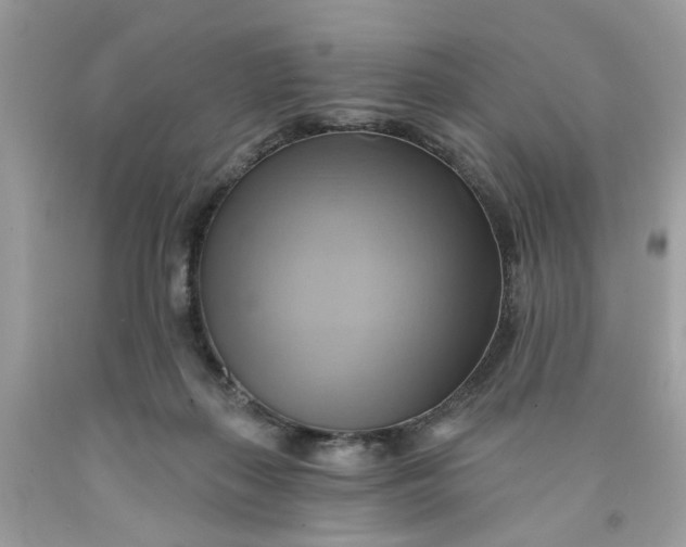 X0000091590267200709101046