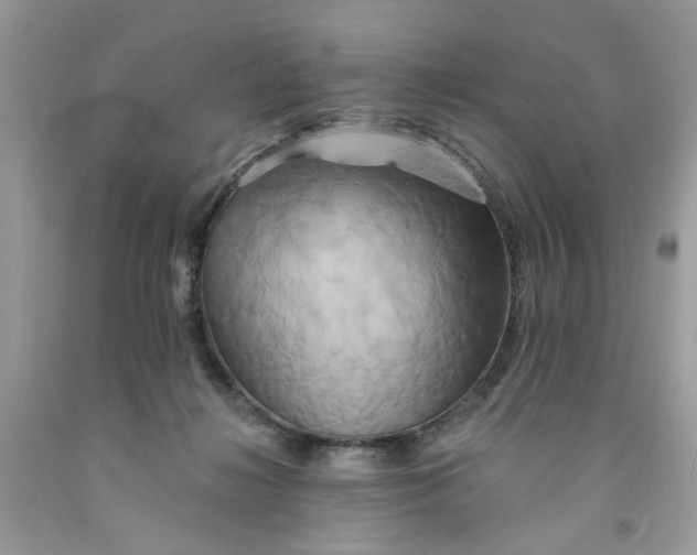 X0000091590268200709101046