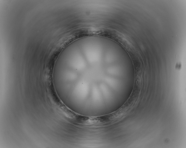 X0000091590270200709101047