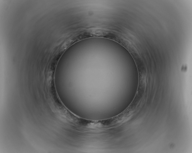 X0000091590271200709101047