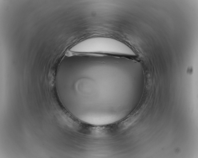 X0000091590273200709101047