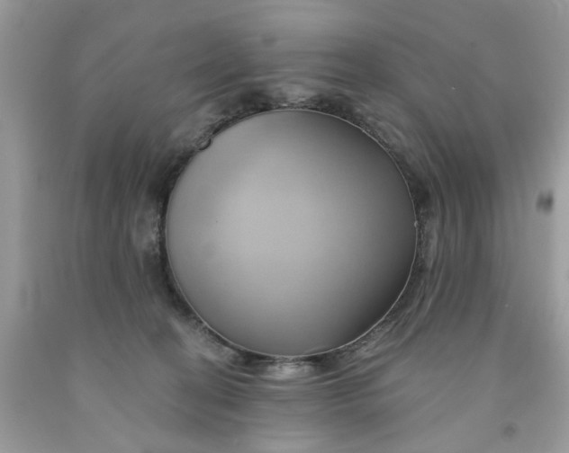 X0000091590274200709101047