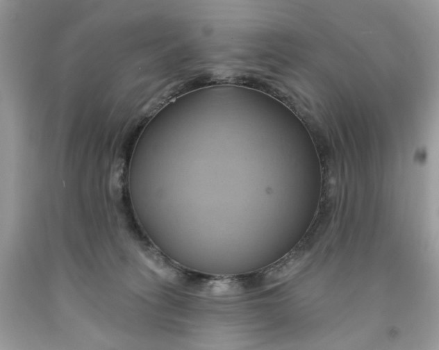 X0000091590275200709101047