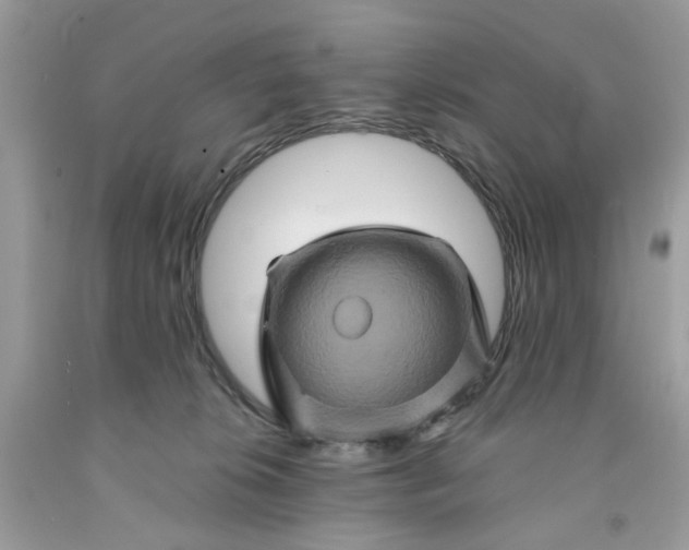 X0000091590276200709101047