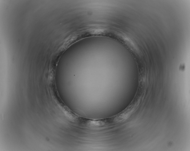 X0000091590277200709101047