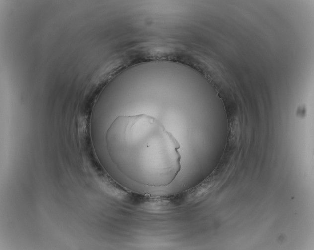 X0000091590278200709101047