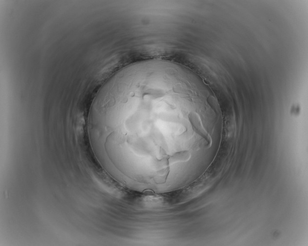 X0000091590279200709101047