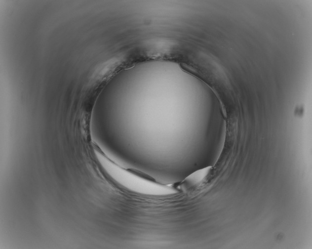 X0000091590280200709101047