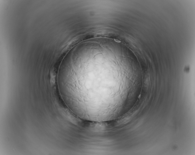 X0000091590282200709101047