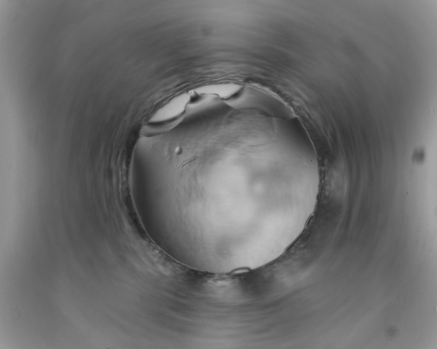 X0000091590283200709101047