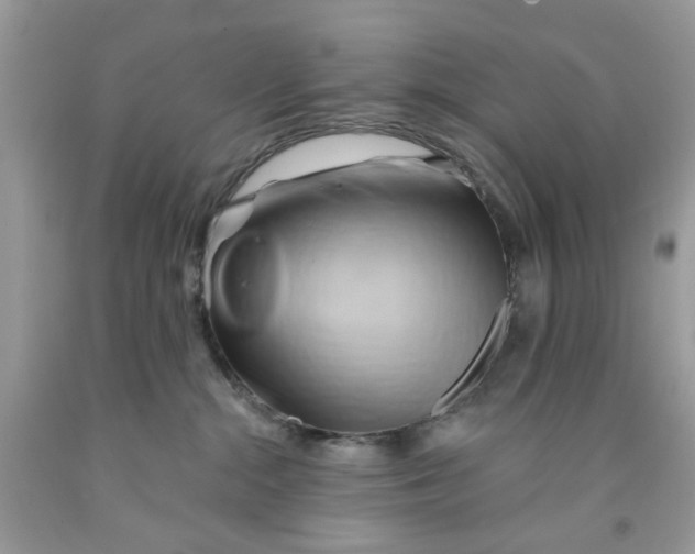 X0000091590284200709101047