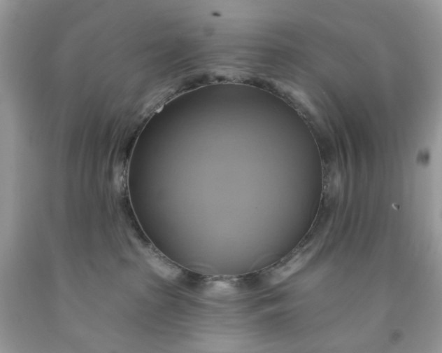 X0000091590285200709101047