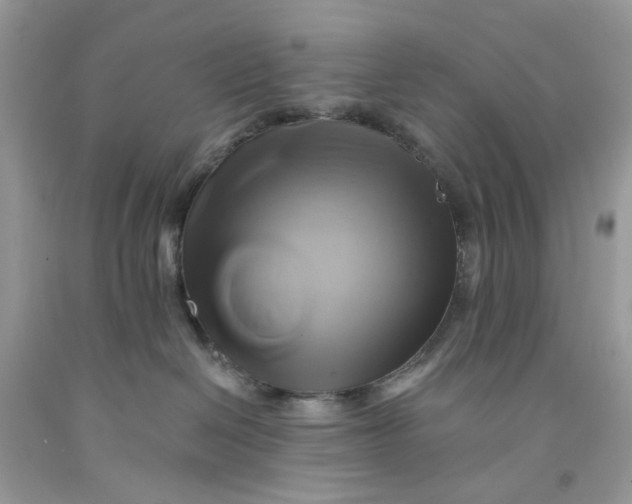 X0000091590286200709101047