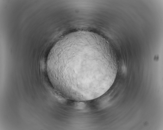 X0000091590287200709101047