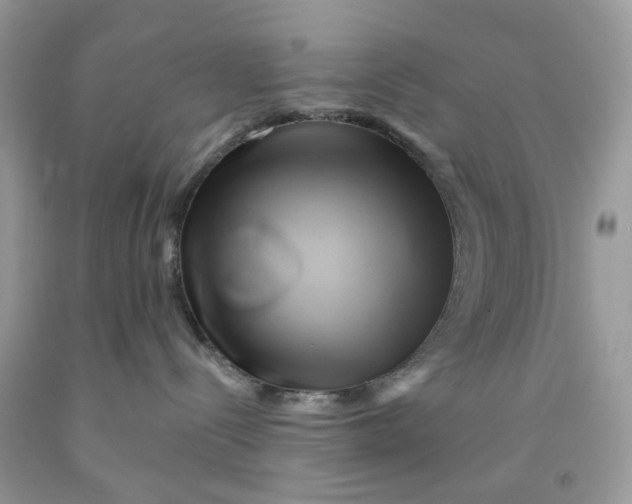 X0000091590288200709101047