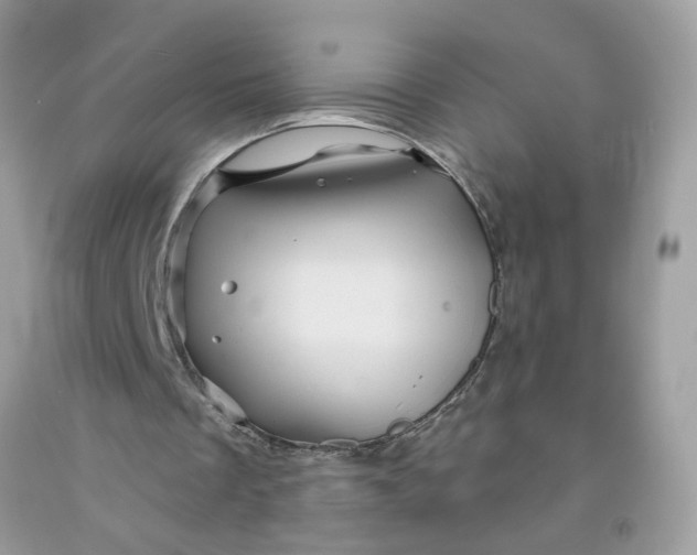 X0000091590289200709101046