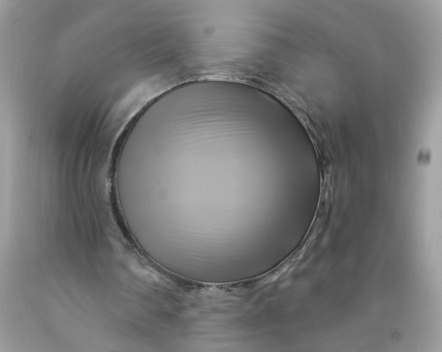 X0000091590290200709101046