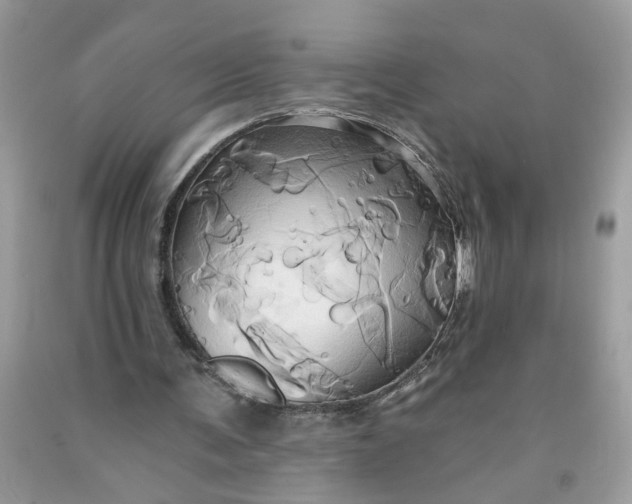 X0000091590291200709101046