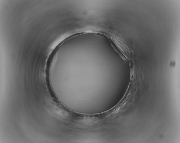 X0000091590292200709101046