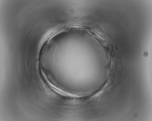 X0000091590293200709101046