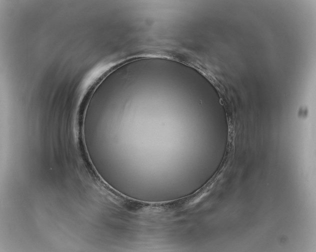 X0000091590294200709101046