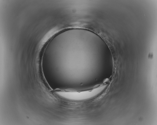 X0000091590295200709101046