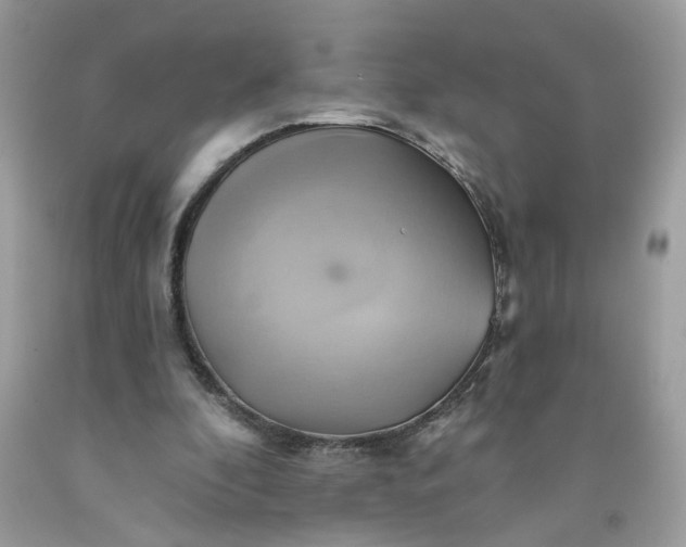 X0000091590296200709101046