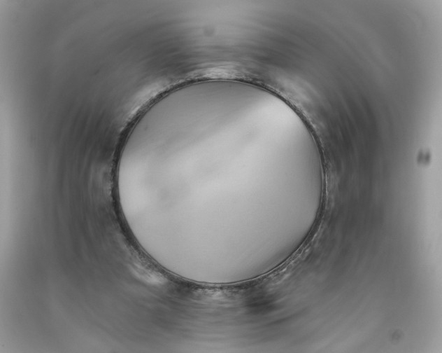 X0000091590297200709101046