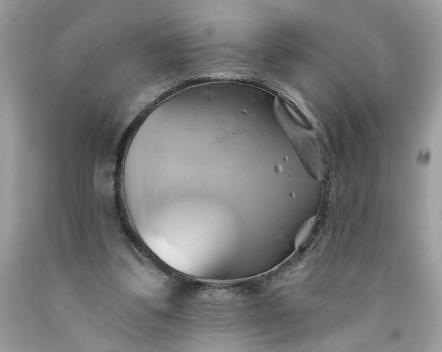 X0000091590299200709101046