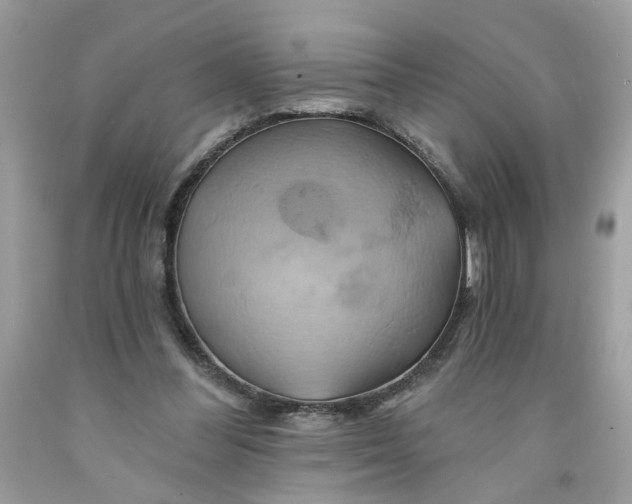 X0000091590300200709101046