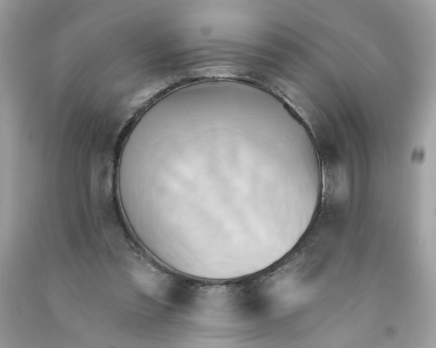 X0000091590301200709101046