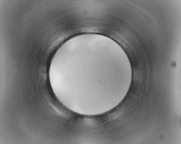 X0000091590302200709101046