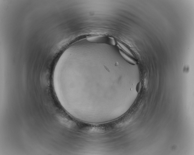 X0000091590303200709101046