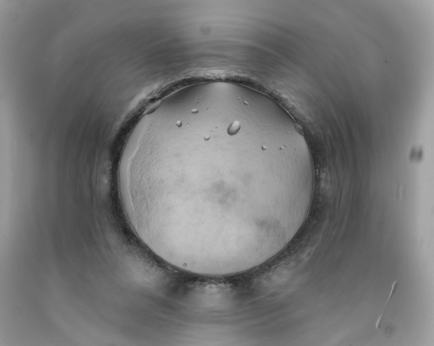 X0000091590304200709101046