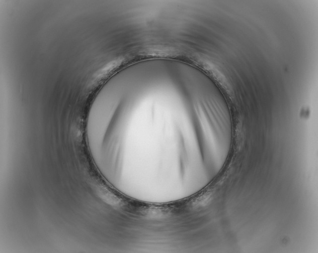 X0000091590305200709101046