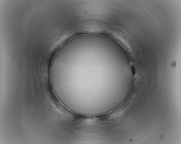 X0000091590306200709101046