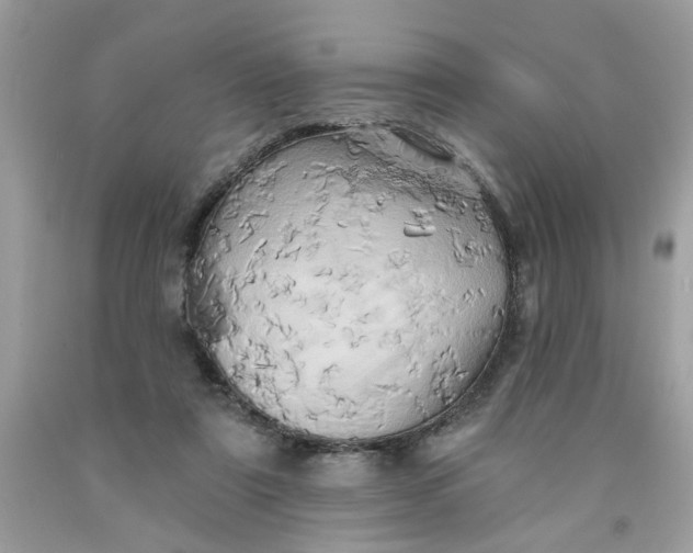 X0000091590307200709101046