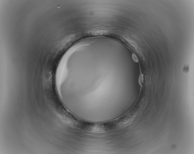 X0000091590308200709101046