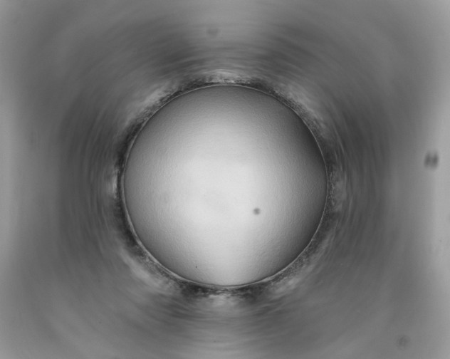 X0000091590310200709101046