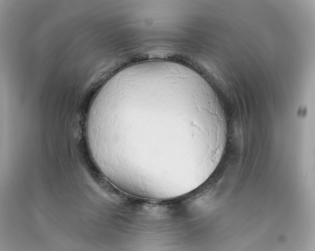 X0000091590311200709101046