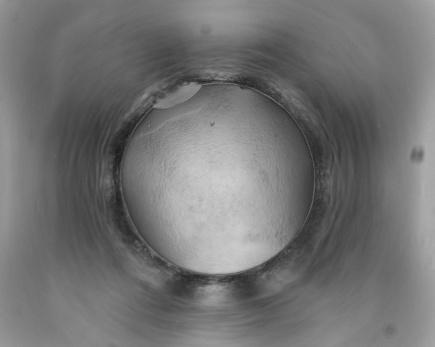 X0000091590312200709101046