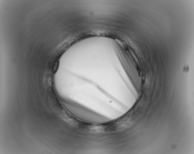 X0000091590313200709101046