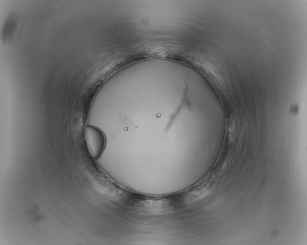 X0000091590314200709101046